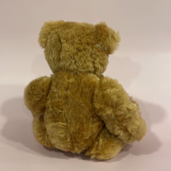 Classic Brown Teddy Bear from the Smithsonian Institution Washington, DC EUC 9” - Picture 3 of 8